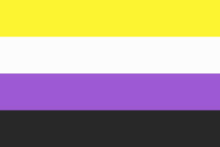 the non-binary flag