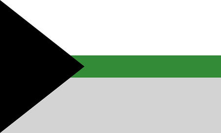 the demiromantic flag