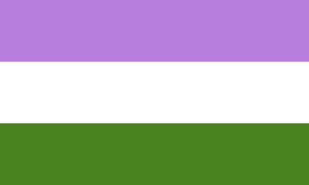 the genderqueer flag